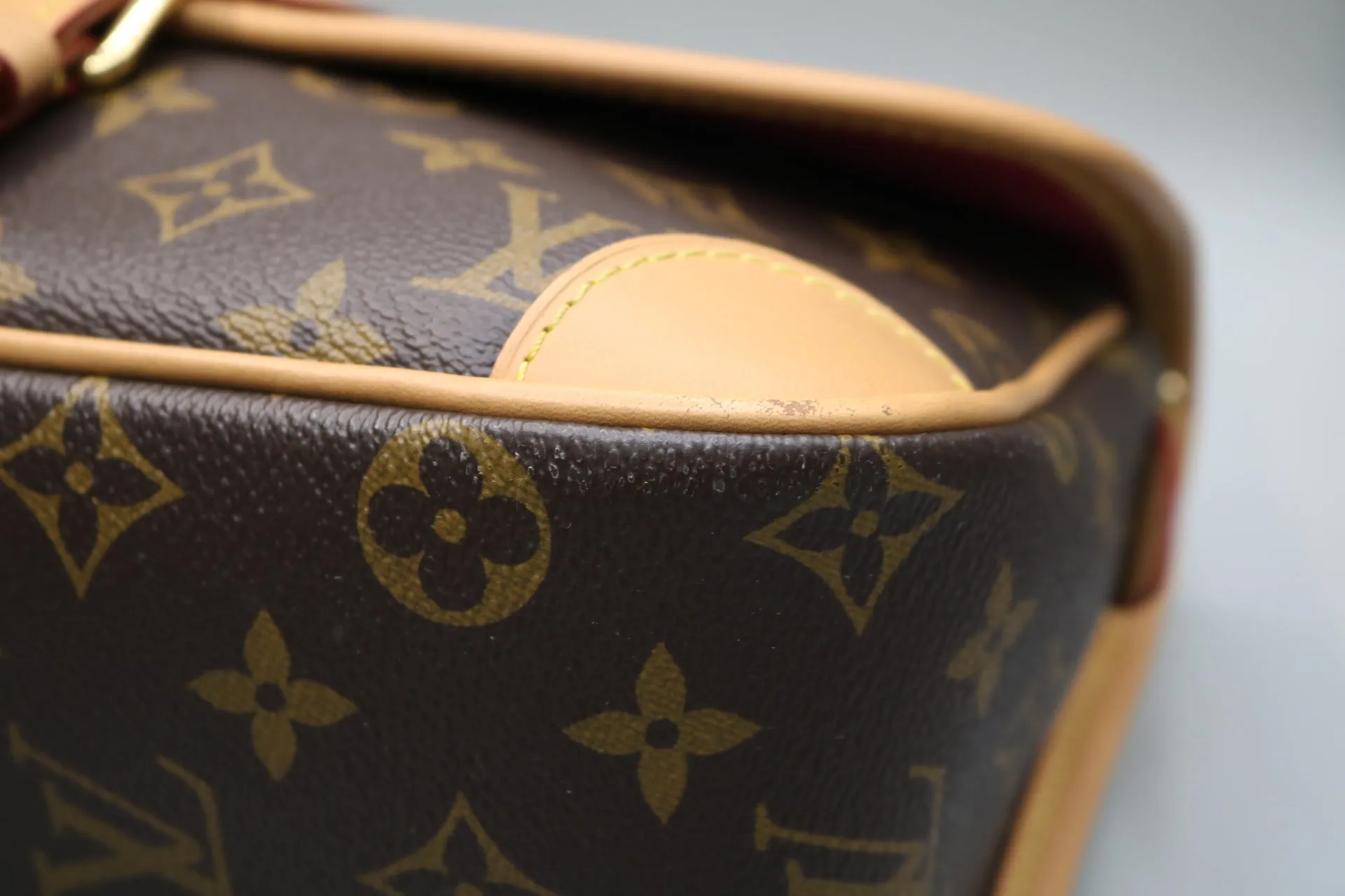 Louis Vuitton Monogram Diane Shoulder Bag (Local Pick-up only)